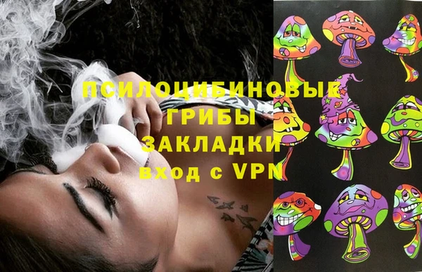 молекула духа Баксан