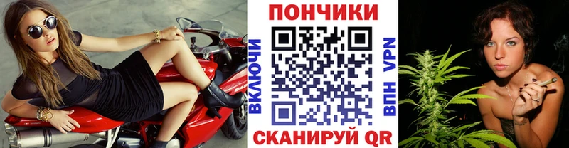 ссылка на мегу ССЫЛКА  магазин продажи наркотиков  Ельня  Шишки марихуана план 